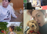 ‘펫 비타민’ 붐-한승연-김수찬, 반려동물과 찍은 셀카 대방출 '애정 뚝뚝'