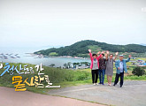 '청산도 슈바이처' 이강안 원장부터 '달팽이 작은 학교' 홍혜정 원장까지 '청산도'에 살어리라
