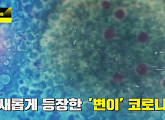 코로나19 바이러스 변이, 알수 없는 감염원ㆍ전파경로(이규연의 스포트라이트)