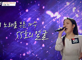 '스카이캐슬' OST 'We all lie' 하진(55호)부터 '왜내눈앞에나타나' 요아리(47호)까지…얼굴 없는 가수들의 반란