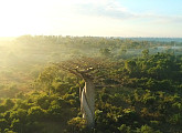 '세계테마기행' 바오바브나무의 고향 마다가스카르
