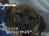 도사견 '다루'의 아픔 강형욱 "훈련보다 아프지 않게 키우는 게 먼저다"