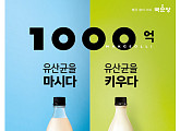 국순당 ‘1000억 유산균 막걸리’ 시리즈, 300만 병 판매 돌파