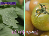 '초당옥수수' 김재훈 식탁이있는삶 대표 "대저 짭짤이토마토·방풍나물, 지금 제철"