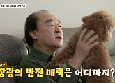 장광 나이 66세, 딸 미자(장윤희) 칭찬에 흐뭇…반전 매력 예고(순간의 선택 골든타임)
