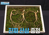 '1박 2일', 경남 함양 산삼 원정대 출동 "가장 오래된 산삼=2억"