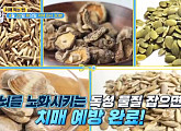 표고버섯ㆍ해바라기씨 견과류, 치매 막는 밥상 대공개(엄지의 제왕)
