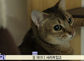 강다니엘, 고양이 2마리 향한 애정 폭발 "여동생들"
