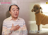 장광 아내 전성애, 나이 70세 남편의 지나친 반려견 사랑에 속앓이…"제주도 한달살이 가겠다" 통보