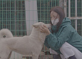 TV동물농장 순심이와 함께한 이효리&이상순ㆍ캠퍼스 고양이 구조 작전