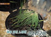 홍현희 와플팬 요리에 오마이걸 승희도 인정 "원추리 구이, 진짜 감자 맛 나요"(정글의 법칙)