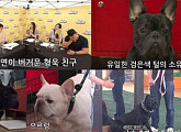 브레이브걸스 민영ㆍ유정, 프렌치 불도그 등장에 “저희 사장님 키우시는 개예요!”