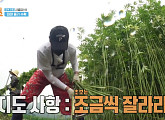 안동포 주 재료 대마 줄기…'1박 2일' 역대급 중노동 인력 사무소 투입