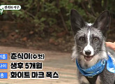 '강철부대' 특전사 박도현, '미운 우리 새끼' 깜짝 출연…여우 분양 고민 '짠희' 집 초대