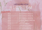 ‘11월 3일 컴백’ 라붐, 미니 3집 ‘BLOSSOM’ 스케줄러 오픈