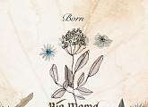 빅마마, 오늘(10일) 정규앨범 'Born(本)' 발매