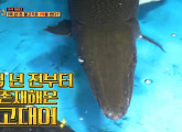 고대어 재테크, 1억 년 전 물고기로 월 수익 1억? '식스센스3' 진짜? 가짜?