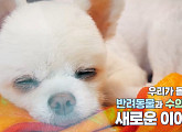 청주 동물병원의 24시ㆍ노부부와 반려견 까미(심장이 뛴다 38.5)