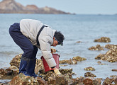 전태풍ㆍ김태술ㆍ김종규, '허섬세월’ 촬영지 녹도 바다 낙지 잡이에 열중 “이만 철수하자”