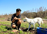 '동물극장 단짝' 견공 ‘하루키’와 청년 농부의 제주 라이프