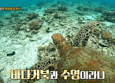 이규형ㆍ수호, '딱한번간다면’ 촬영지 호주 브리즈번 레이디 엘리엇 섬서 혹등고래&거북이 발견 "경이로운 순간"