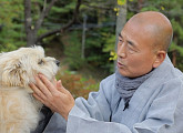 오대산 현덕사 현종 스님과 흰둥이ㆍ현덕이의 유쾌한 수행일기(동물극장단짝)