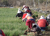 '극한직업' 쪽파 재배ㆍ과일 도매, 고군분투 성공 스토리 공개