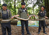 '극한직업' 인도네시아 자바섬 뱀 사냥꾼