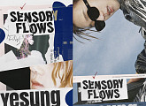 예성, 25일 솔로 정규 1집 'Sensory Flows' 발매…독보적 음악 색깔 '기대 UP'