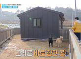 '1박 2일' 딘딘, 촬영지 고창 상하농원 양떼목장서 리트리버들과 '개릴라 콘서트'