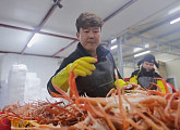 포항 대게 온라인 택배 주문&생물 배송 ‘서민갑부' 연 매출 30억 원 비결은?