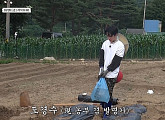 이광수ㆍ김우빈ㆍ도경수ㆍ김기방, '콩콩팥팥' 촬영지 인제서 들깨 파종…재방송 OTT 티빙