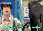 이찬원, '톡파원 25시' 태국 코끼리 다재다능 재주에 감탄 "이게 실화야?"