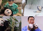 반환 앞둔 푸바오, 동생 쌍둥이 탄생→사춘기까지…할부지 보살핌 통할까?(푸바오tv 전지적 할부지 시점)