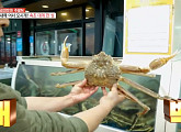 '생방송 오늘저녁' 김대호 아나운서, '퇴근후N' 속초 대게 마을로…대게찜부터 오징어순대ㆍ대게라면까지