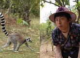 '태어난 김에 세계일주 시즌3' 기안84ㆍ빠니보틀, 마다가스카르 알락꼬리여우원숭이 영접