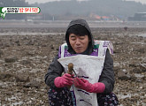 '미우새' 김승수, 나이 2세 동생 이상민과 서산 간월도 바닷가 갯벌 굴따기…석화찜ㆍ어리굴젓ㆍ굴 세비체 먹방 활력 충전