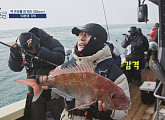 '도시어부 시즌5' 추자도 절명여 출격…대물 참돔 낚시 도전