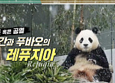 장이권 교수가 전하는 판다ㆍ코알라 등 멸종위기종 위한 레퓨지아(이슈픽쌤과 함께)