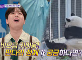 이찬원도 반한 중국 베이징 동물원 자이언트 판다 형제 멍란ㆍ멍다ㆍ멍얼 등장(톡파원25시)