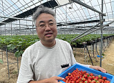 '생활의 달인' 여름 딸기 달인, '임산부 딸기' 재배 농장 비법 공개
