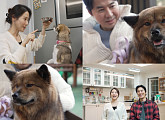 '너희가 똥개를 아느냐' 김재우 & 조유리 부부 집 찾아간 똥개와 조우