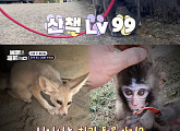 '동물은 훌륭하다' 사막 여우→백호까지…상처 입은 동물 위한 동물원 소개