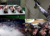 '극한직업' 천안 막걸리 공장ㆍ홍천 건식 숙성 한우ㆍ균사체 가죽 등 곰팡이의 무한 변신