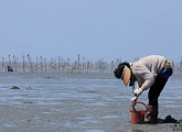 '한국기행' 서천특화시장의 바지락 달인 모녀