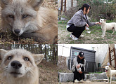 'TV 동물농장' 영특한 백구의 육아ㆍ골프장 여우 구조기