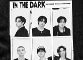 스트레이 키즈, DJ 스네이크와 컬래버레이션곡 'In The Dark' 발표
