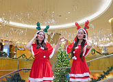 쉐라톤 나트랑 호텔, 연말 페스티브 오픈