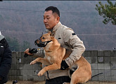'개는훌륭하다' 이웅종 훈련사, 시한폭탄견 보리 솔루션