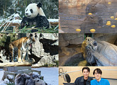 'TV동물농장' 자이언트 판다 가족의 겨울나기